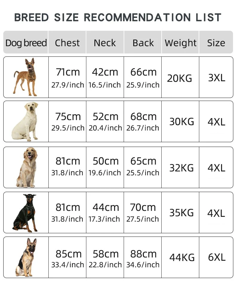 Kleidung für große Hunde, wasserdichte Weste für große Hunde, Winter, warm, verdickt, Mantel für Hunde, französische Bulldogge, Labrador, Dobermann-Outfits – Detail 5