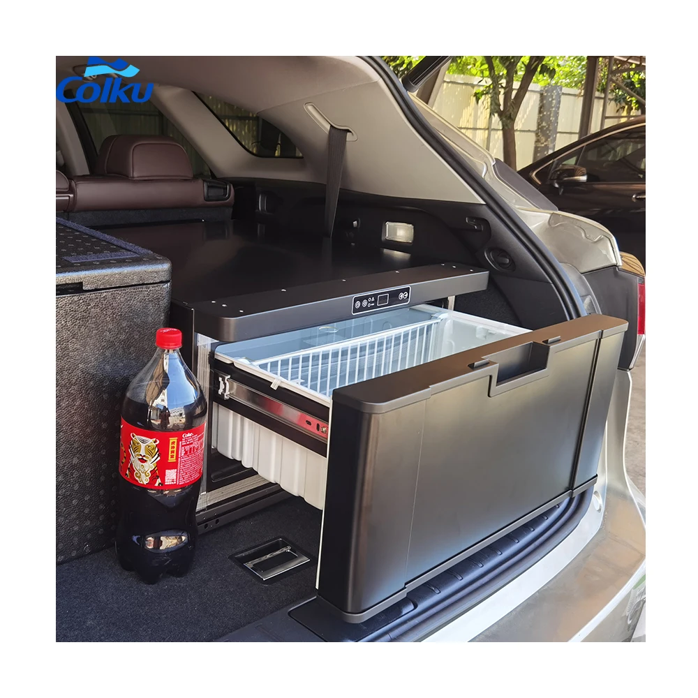 Gold Seller Special Design 40L DC Compressor 12V 24V RV Drawer Freezer Fridge Refrigerator With Black Color for Camper Caravan