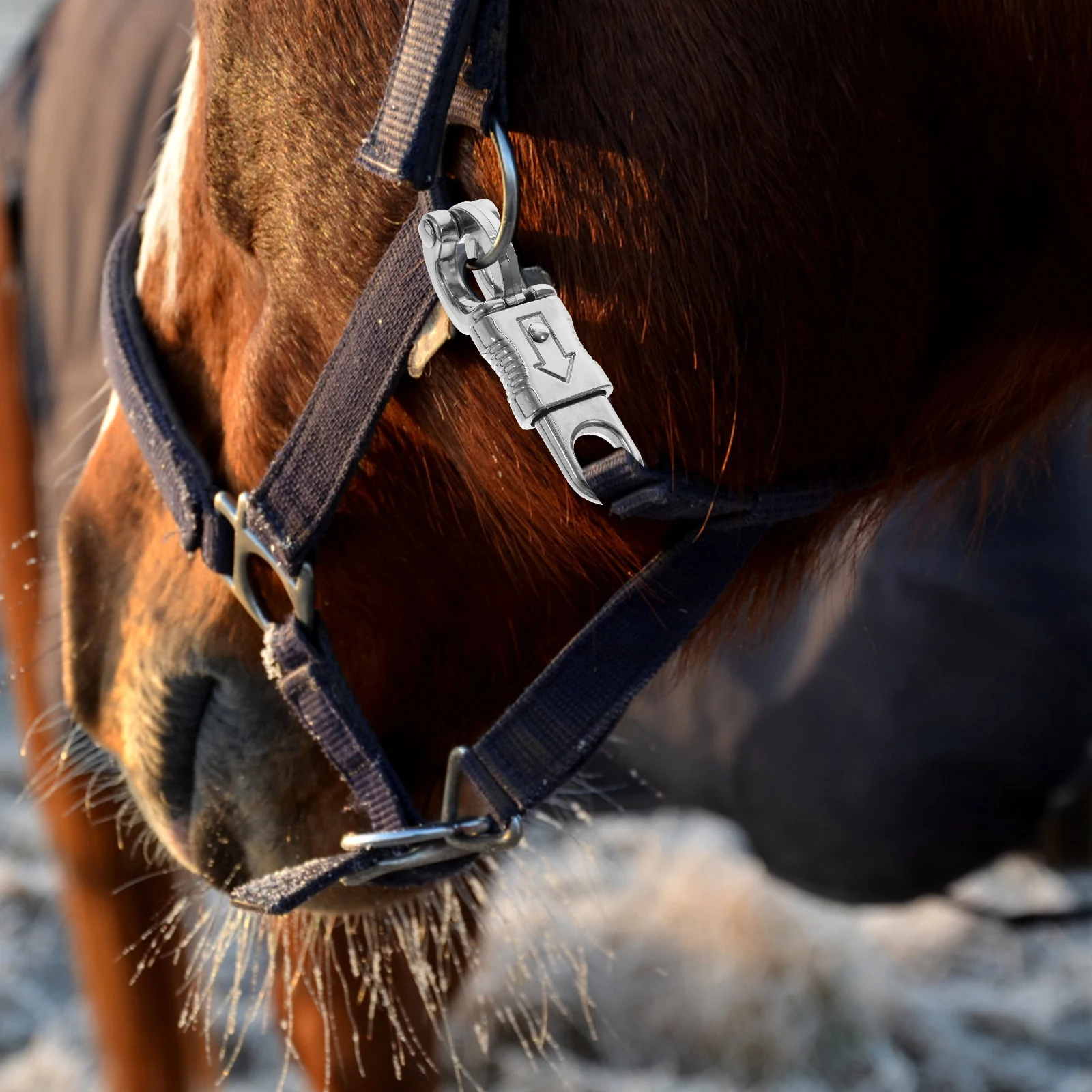 

Horse Quick Release Hook Heavy Duty Snap For Equestrian Riding Outdoor Training Gear Fixed Eye Swivel Clip Leash Cycling
