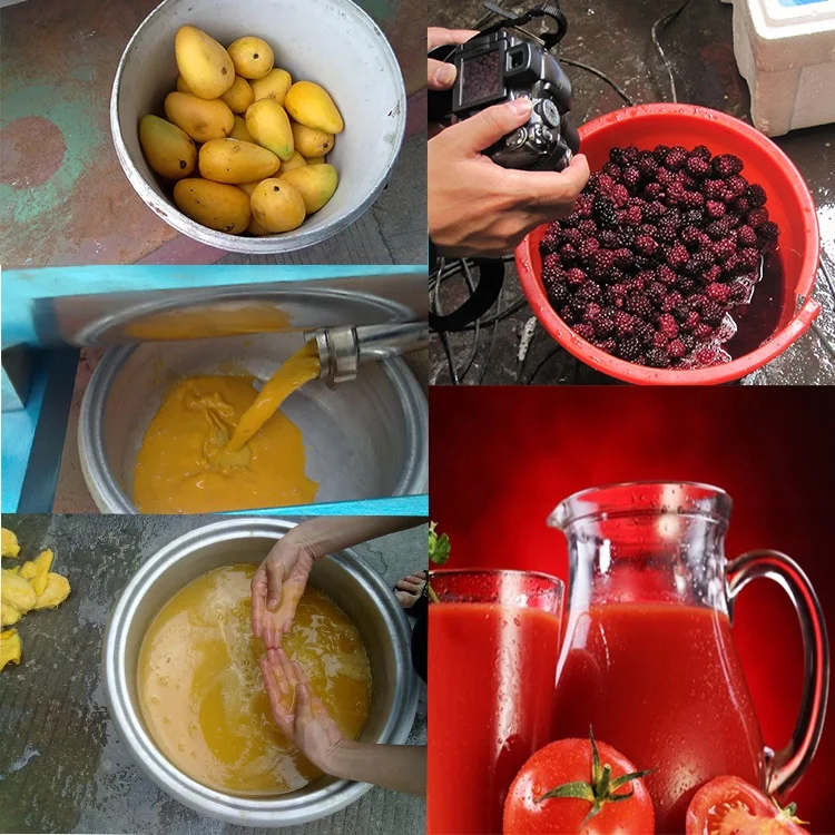 Quality Stainless Steel Heavy Duty Grape Wine Juice Extracting Machine Juice Extractor