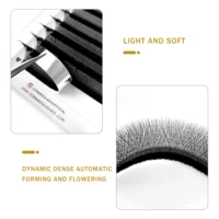 CoMango W Eyelash Extension Automatic Flowering 2d/3d/4d/5d/6d/8d W Fake Lashes 0.07 CD Premade Volume Fans Individual Eyelashes 6