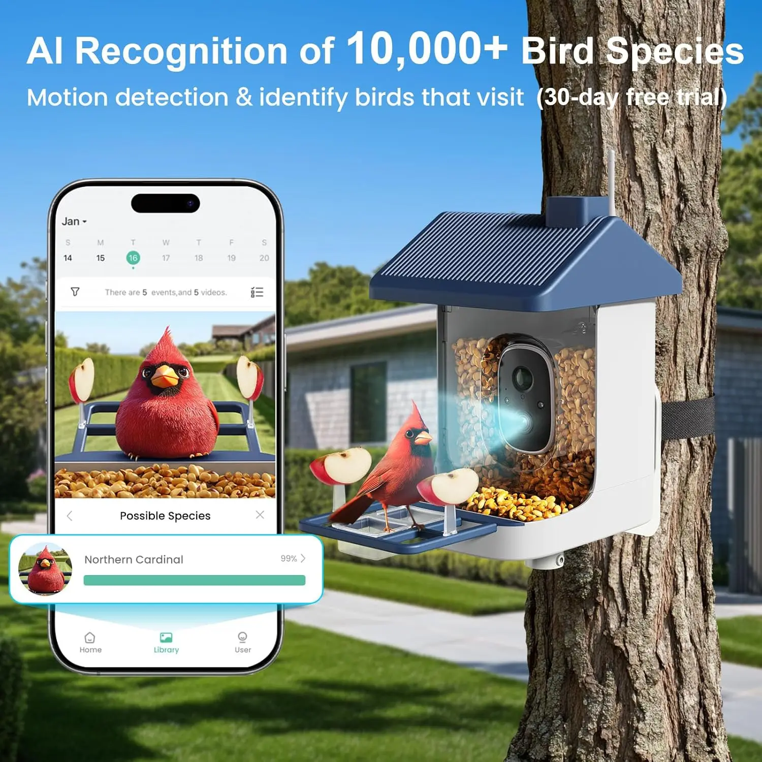 Solar-Powered Smart Bird Feeder with 2K Camera, AI Bird ID & Instant Alerts for Outdoor Bird Watching photo 2
