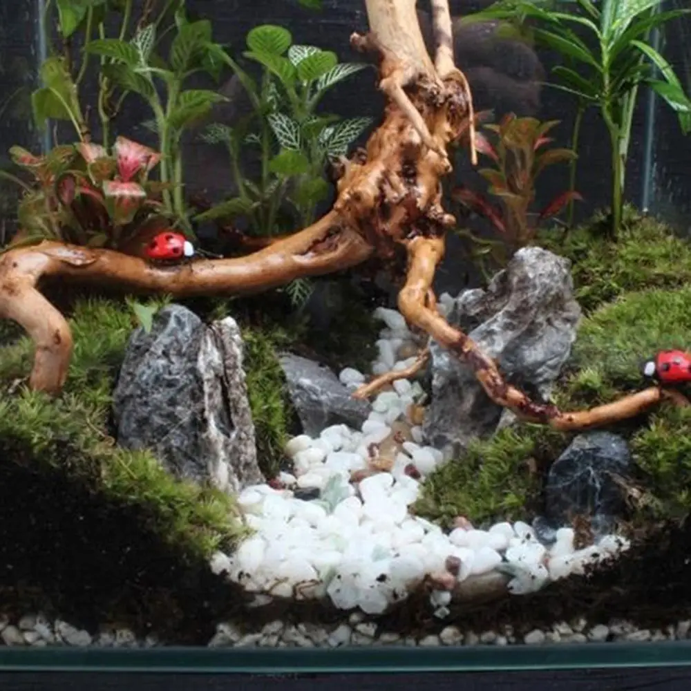 Tree Trunk Micro Landscape Reptile Cylinder Fish Tank Ornament Cuckoo Roots Aquarium Decoration Natural Driftwood Dead-wood