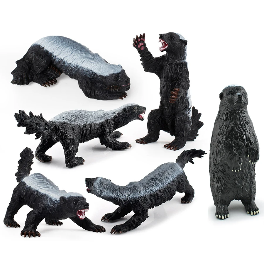 

Realistic Honey Badger Model Simulation Wild Animals Figurines Mellivora Capensis Action Figure Educational Toy Kids Gifts