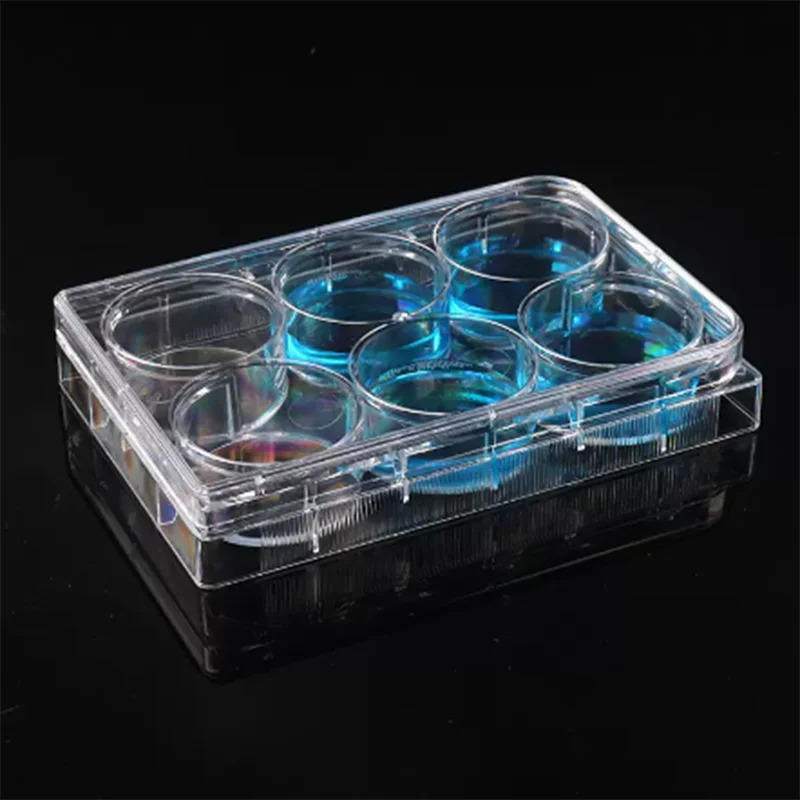 10Pcs 6/12/24/48/96 hole Flat Bottom Cell Culture Plate Bacterial Culture Plate Enzyme Label Plate