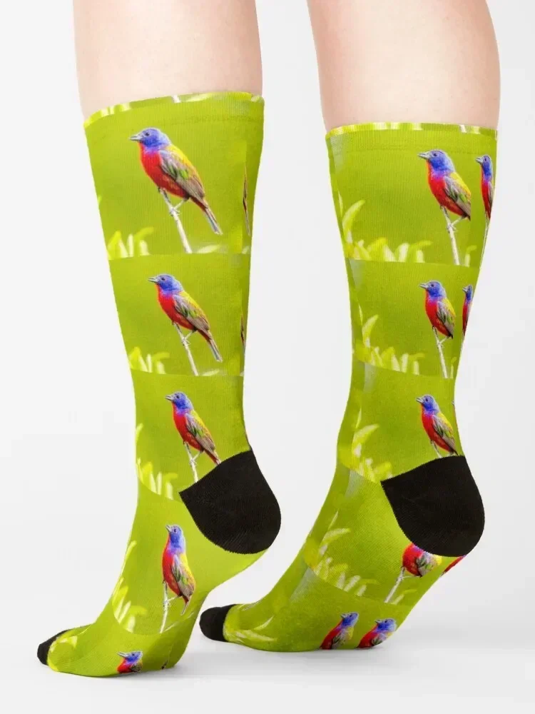 Calcetines Bunting pintados Calcetines estéticos locos Hombre Mujer