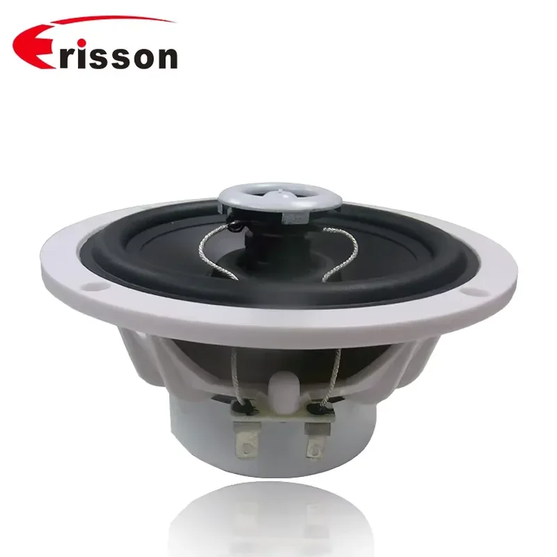 STLF OEM Boat Speakers Manufacturers Powered 60 Watts Waterproof 5.25 Inches PP Cone Marine Speakers