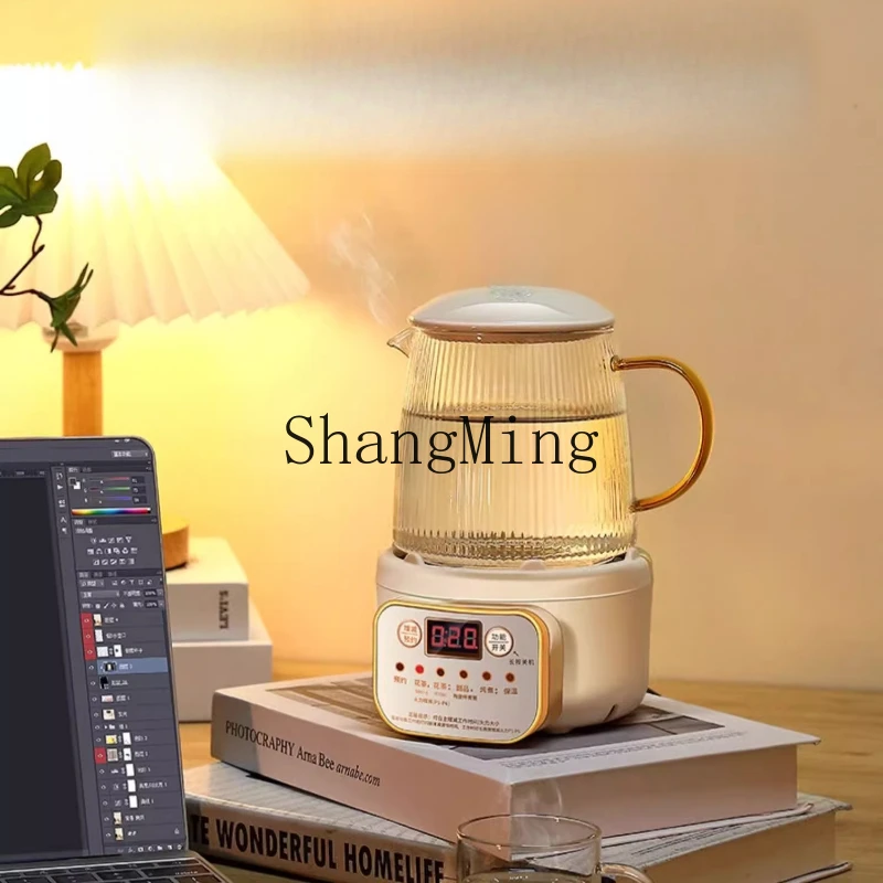 

ZYY household multi-functional office small one-person tea maker kettle
