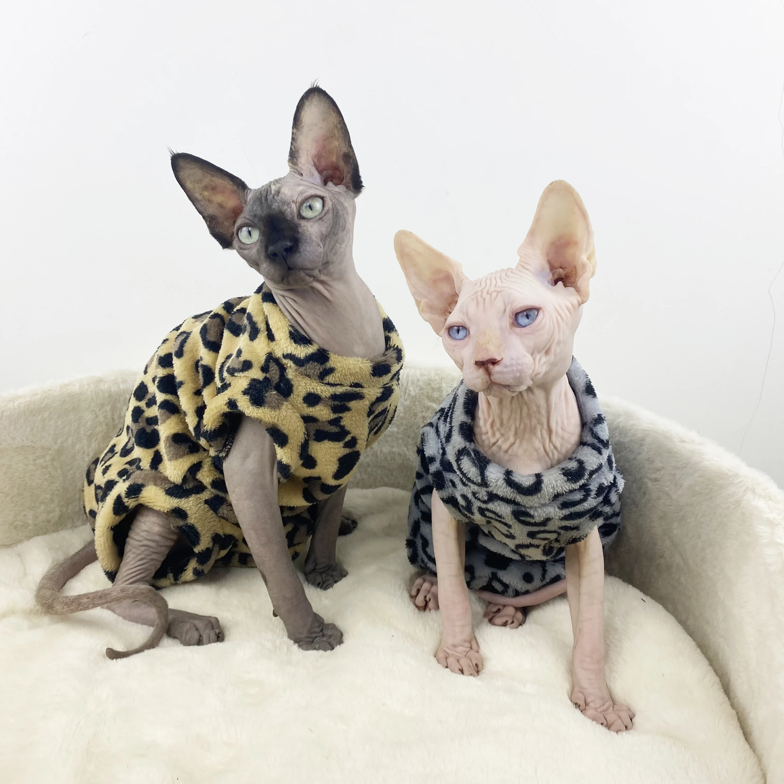 Sphynx Hairless Cat Clothes Autumn and Winter Thick Winter Velvet Leopard Flannel Four-legged Clothes Cat Clothes