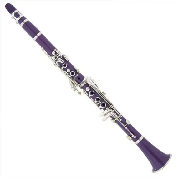 

China factory good price wholesale beginner Bb clarinet instrument