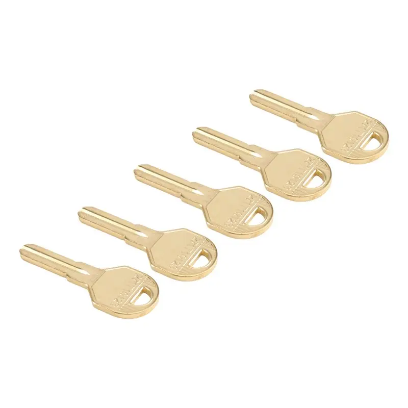 A03F-For EVVA ICS Lock Cylinder Compatible- 5-Piece Set Of Universal Key Blanks, Uncut Custom Design For Residential Keys