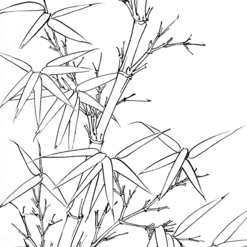 Traditional Chinese Painting Line Drawing Copy Album for Beginners Art Book Landscape Flowers Birds Figures Control Sketch Book
