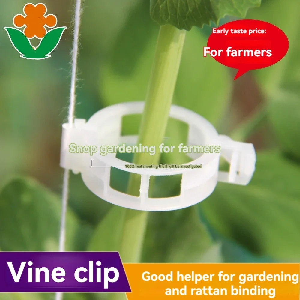 100pcs/200pcs Plant Support Clips Tomato Clips Reusable Garden Clips for Support Grape Vines Fruits Vegetable Plants cilps