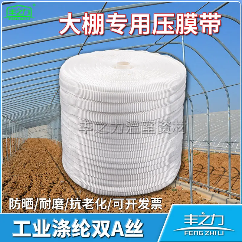 Greenhouse accessories film pressing belt, wire rope thickened, white film support belt, tension film pressing flat belt