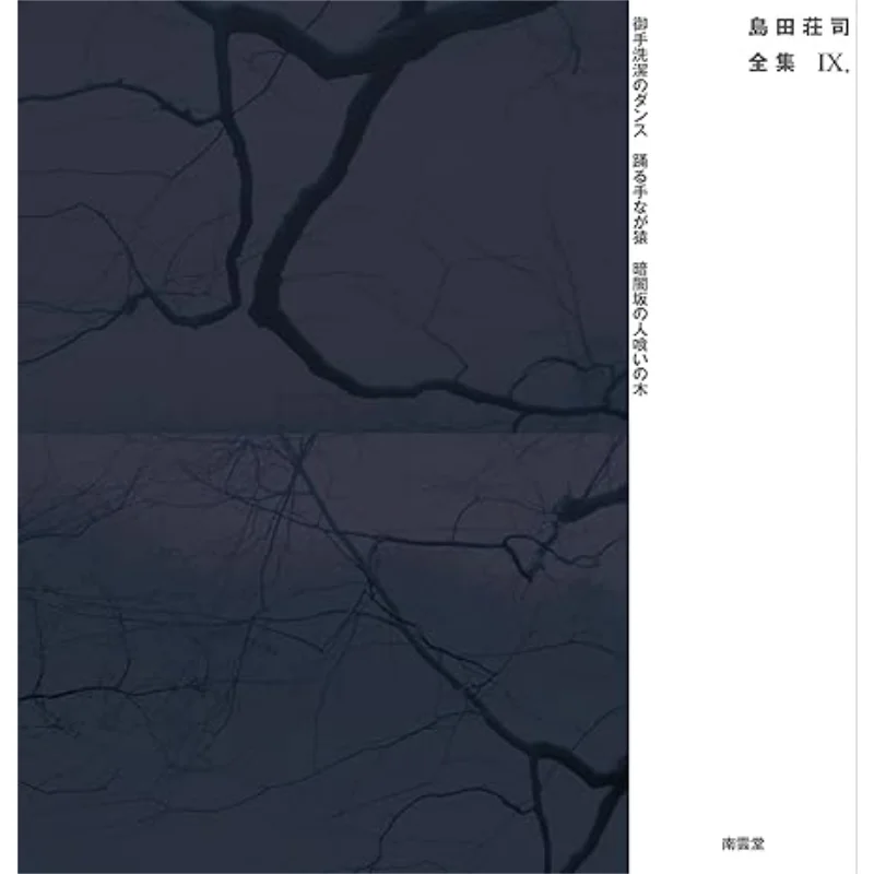 

Collected Works Of Shoji Shimada 9 Shoji Shimada Nan Yun Tang 9784523264293 Book