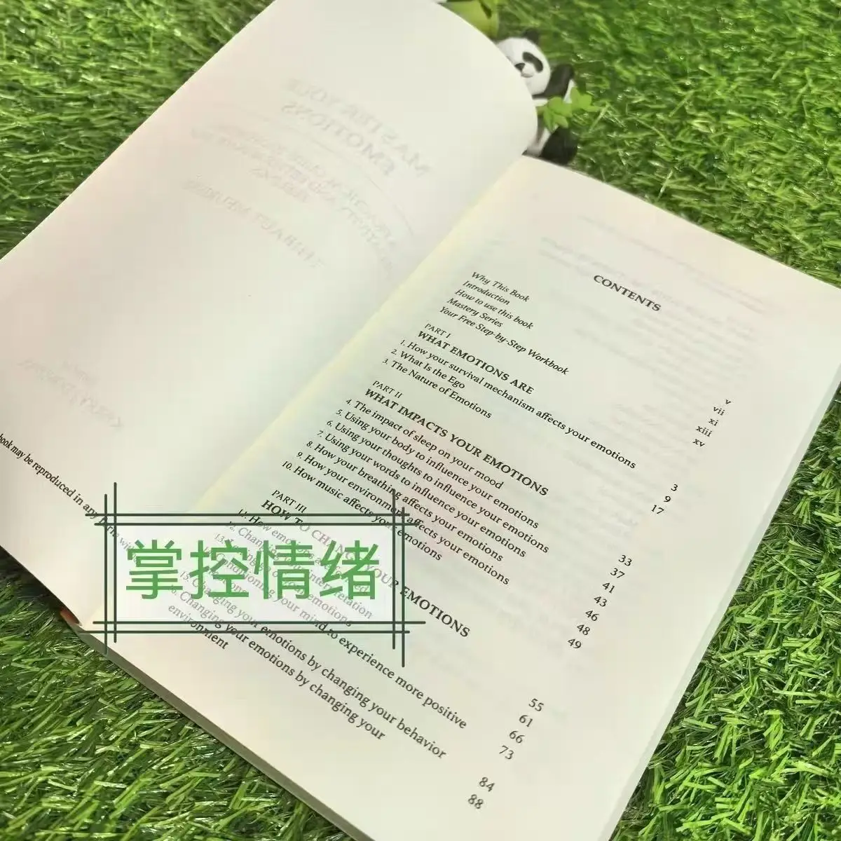 Thibaut Meurisse "استغناء عواطفك" الإنجليزية الأصلية يتغلب على العواطف السلبية وتدير أفضل عواطفك