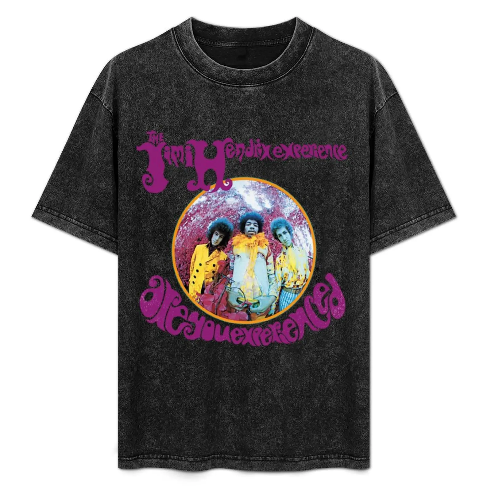 

Are You Experienced T-Shirt Basic Plain Tee for Spring and Summer