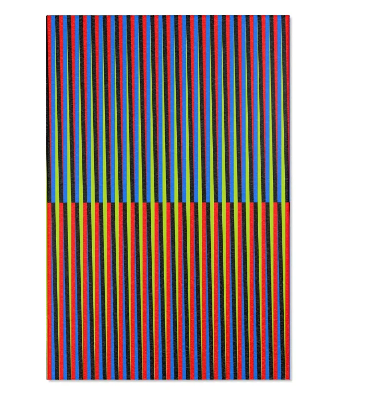 Cruz Diez-inspired Area Rug for Venezuelan Expats, Living Room Decor, Unique Carpet, Modern Home Accent, Maiquetia Floor Mat