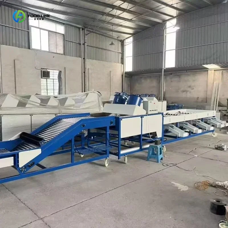 Advanced Fruit and Vegetable Sorting Machine with Cleaning and Drying Functions FL Customized