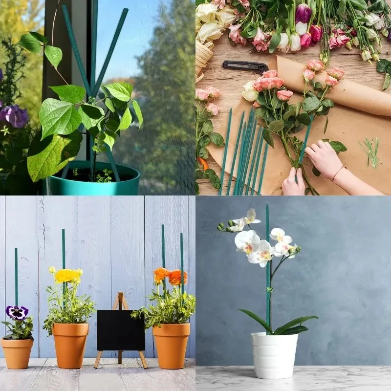 Plant Support Sticks Canes Bamboo Plants Support Stakes Plants Tomato Sticks Supports Flower Sticks Climbing Plant Garden Sticks view 5