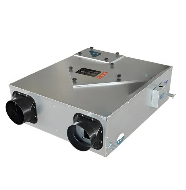 Exchange Fan Commercial Silent Fresh Air System Supply Air Purification Integrated Machine Bidirectional Flow