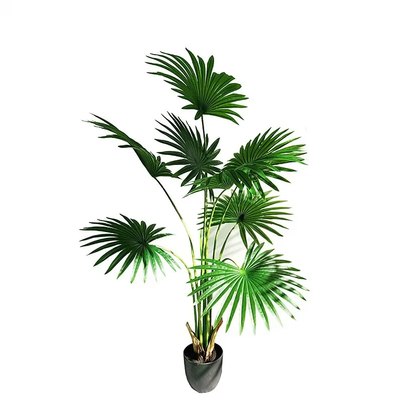 Simulated California Pukui Fan Sunflower Tree Nordic Wind False Green Plant Round Leaf Pu
