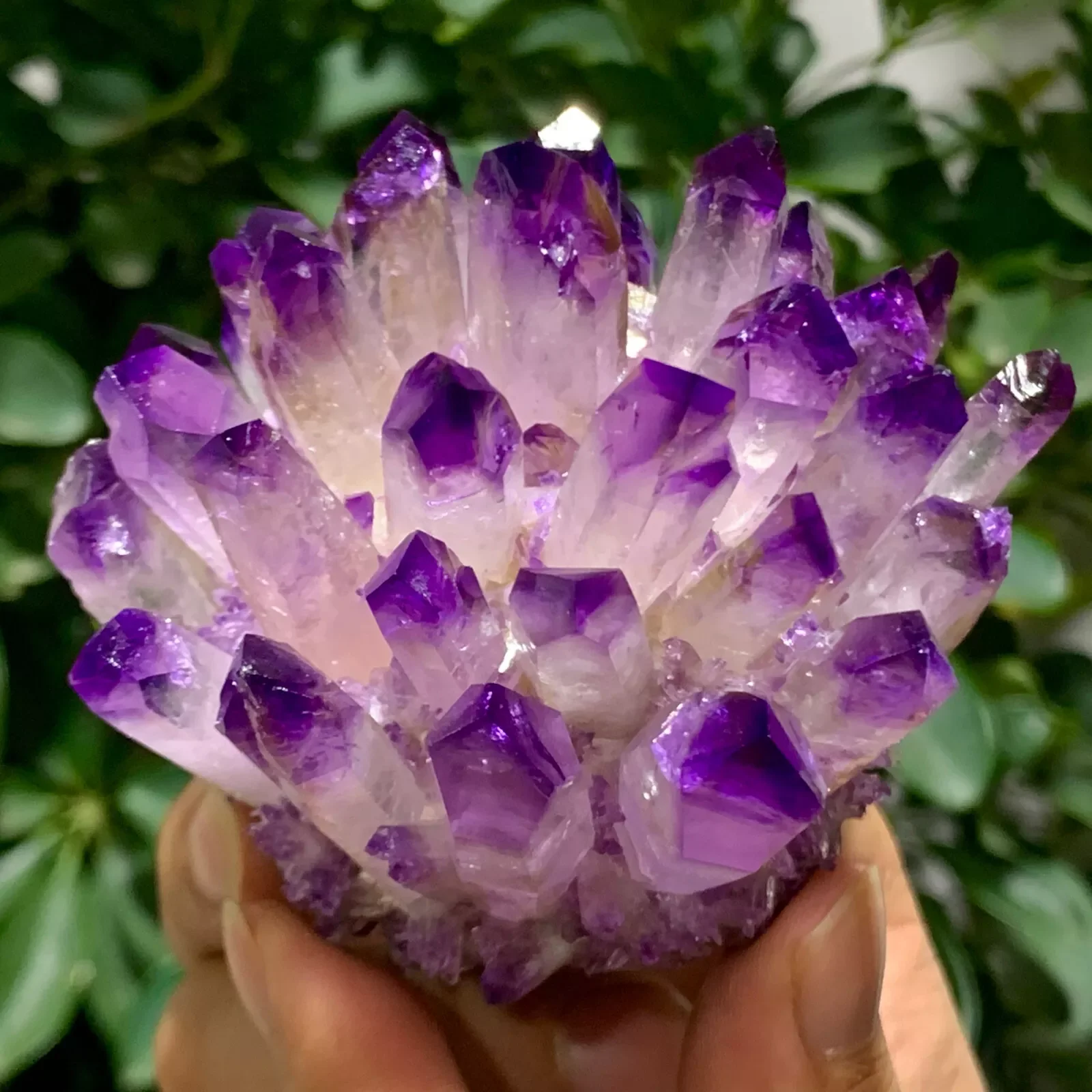 

Newly Discovered Purple Phantom Quartz Crystal Clusters, Purple Quartz Ore Clusters, Minerals, Reiki, And Healing Clusters