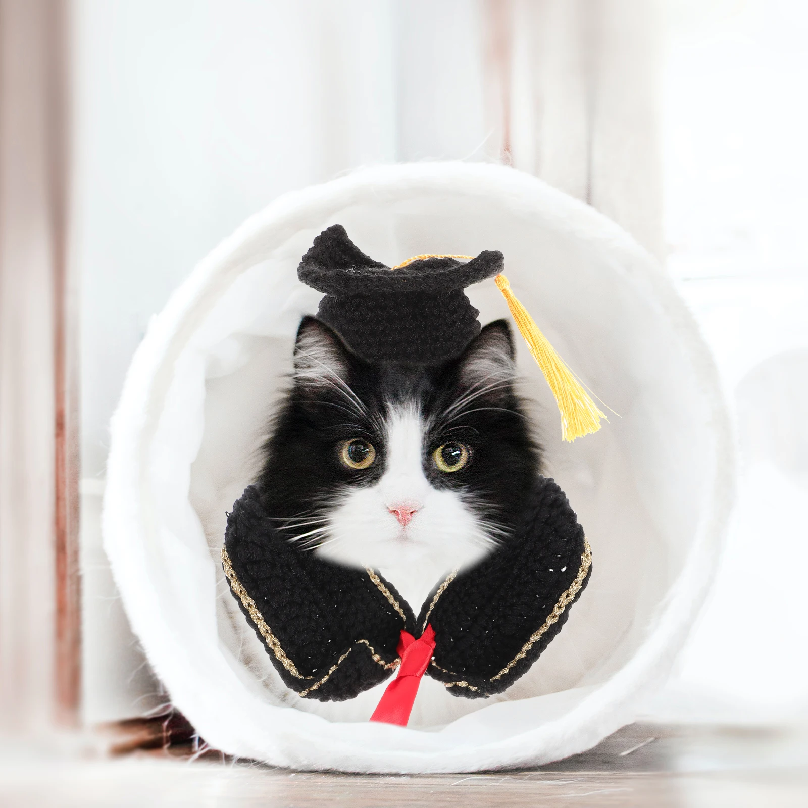 

Pet Drag Clothes Outfits for Dogs Dress up Graduation Cosplay Clothing Small Costumes Has
