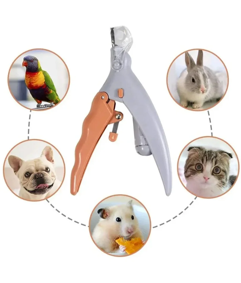 

Professional Pet Nail Clipper Scissors With LED Light Cat Dog Nail Clippers Tool Scissors Nail Toeclaw Cutter Scissors for Pet