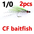 CF fish Olive