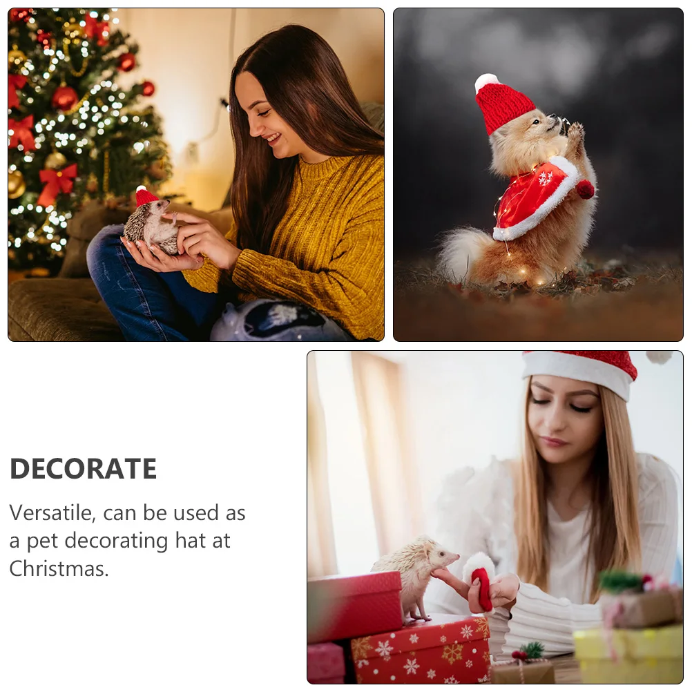 

5 Pcs Holiday Costumes Headgear Mini Animal Christmas Hat Ornament Pet Sea ​​turtle