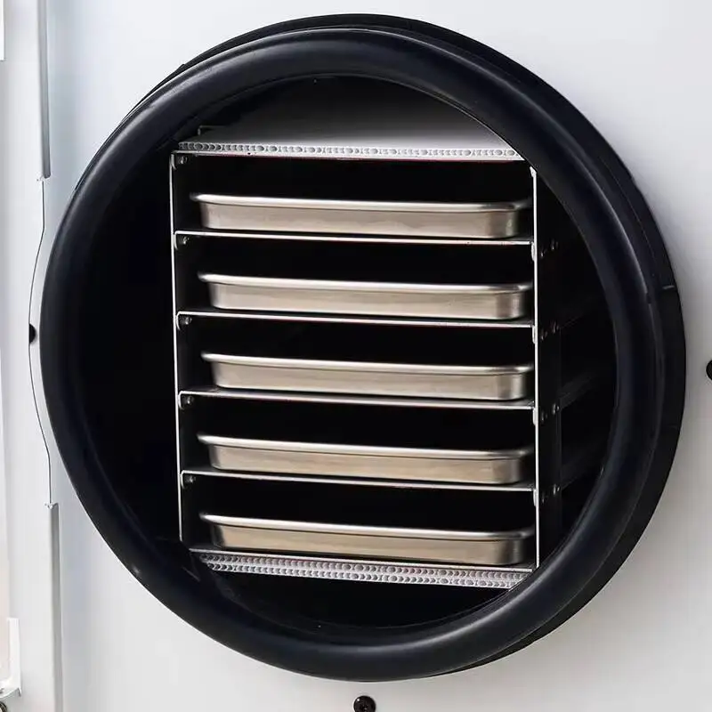 6KG Food Fruit Vegetable Freeze Dry Machine Vacuum Freeze Dryer Manufacturers Freeze Dry Machine