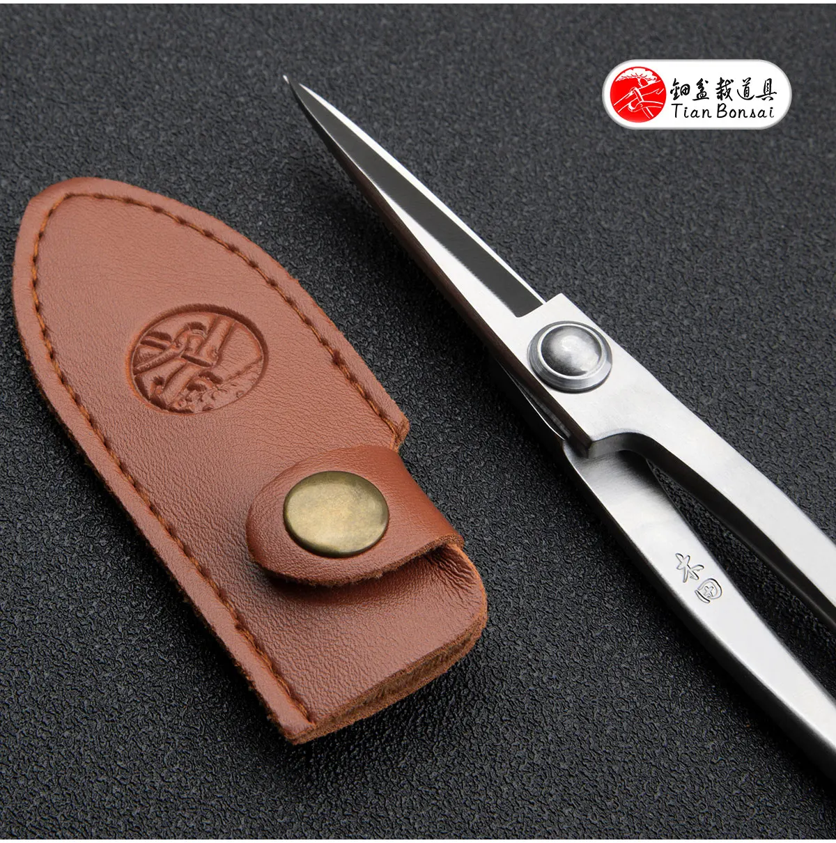 Material-Upgrade: Professionelle 210 mm lange Schere aus 5Cr15MoV-Legierungsstahl, Bonsai-Werkzeuge von TianBonsai – Detail 6
