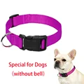 Purple dog collar