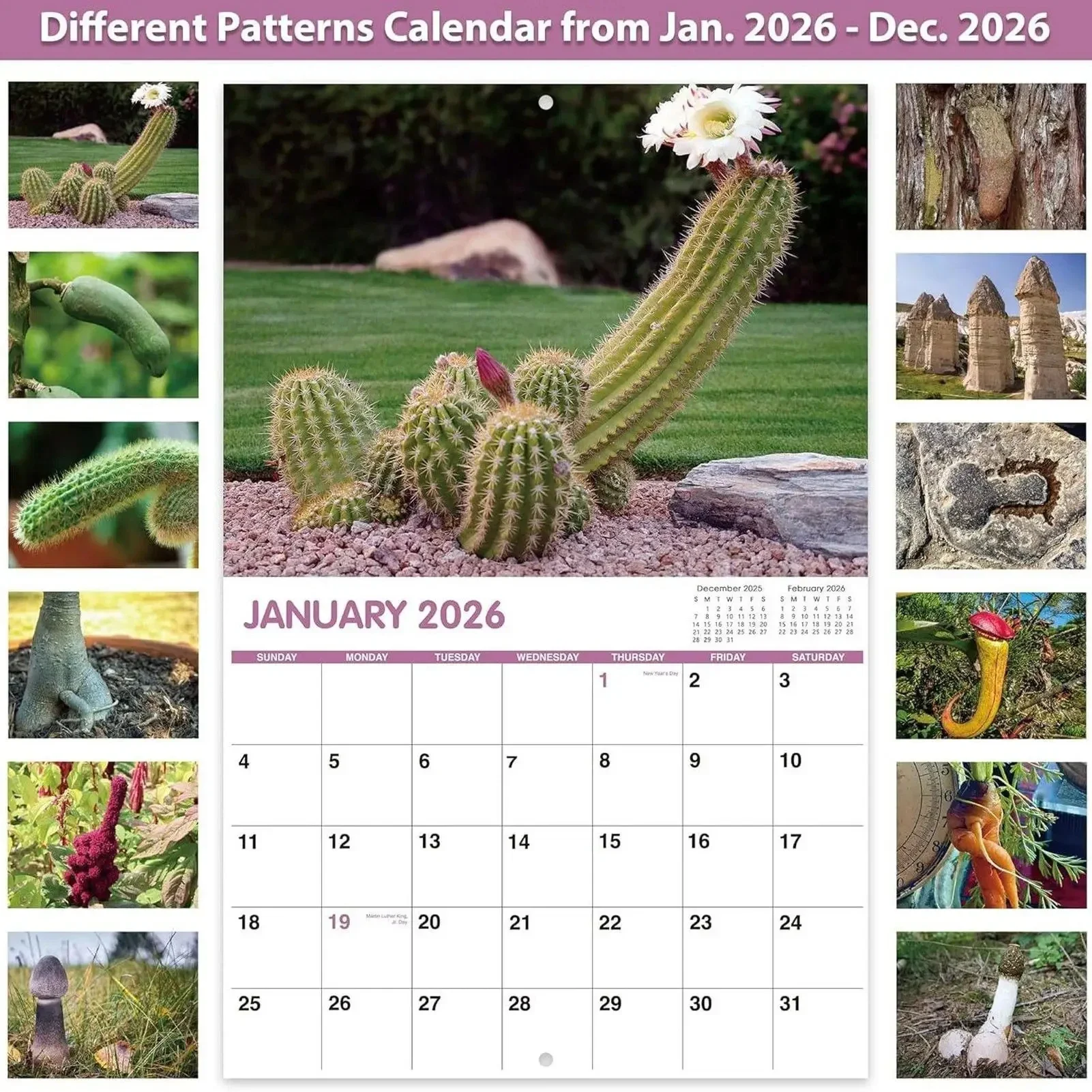 Calendario 2026 12 mesi Divertenti illustrazioni di cactus Decorazioni per l'home office Regalo umoristico per visualizzazione visiva Pianificazione della gestione del tempo