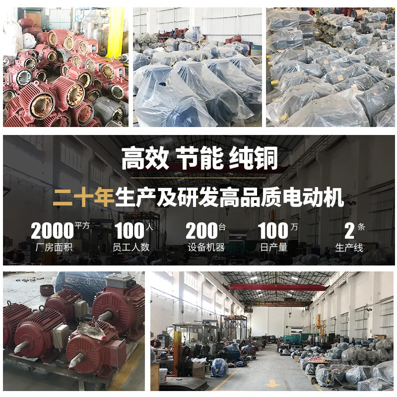 Three-phase asynchronous motor YE3-315S-2 110KW2P (110 kW 2-pole)