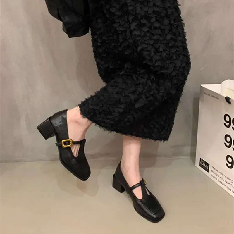 2024 New Women Pumps Mary Janes Chunky High Heels Office Dress Shoes Brown Black Ladies Shoes Fashion Footwear