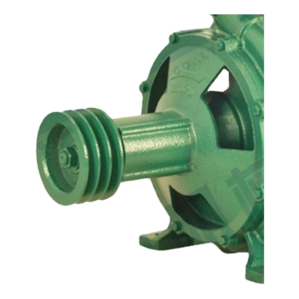100BP-80-320 4inch Inlet 3inch Outlet Water Pump Portable Vegetable Garden Irrigation System diesel Pump Agricultural Water Pump