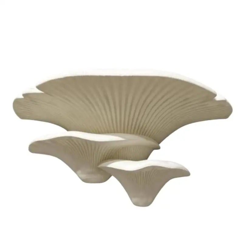 White Mushroom Shaped Wall Decoration Stand 3D Printed Multifunctional DIY Rack for Essential Oil Small Bottle Storage