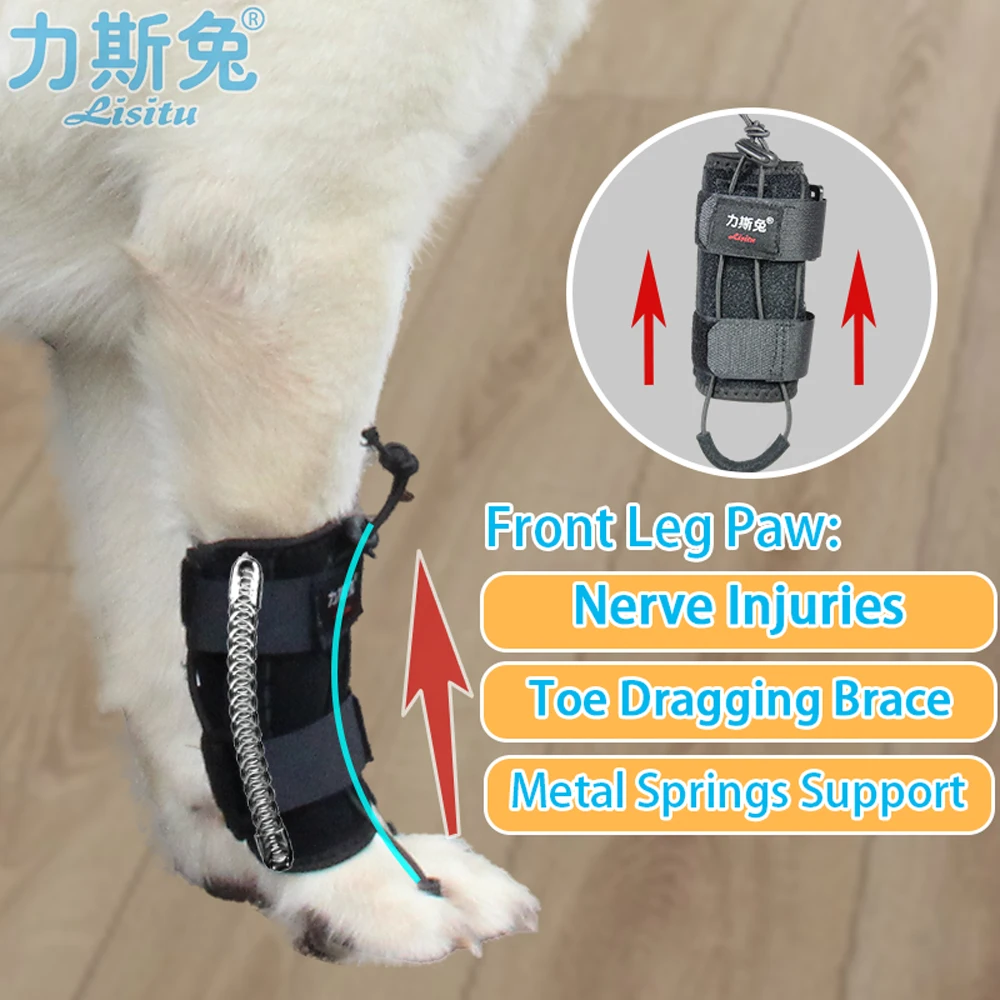 Front Leg Paw with Sciatic Nerve Corrector for Dog and Cat Knuckling, Toe Draagging Brace, Dorsiflexion Brace Myelopathy and Spi