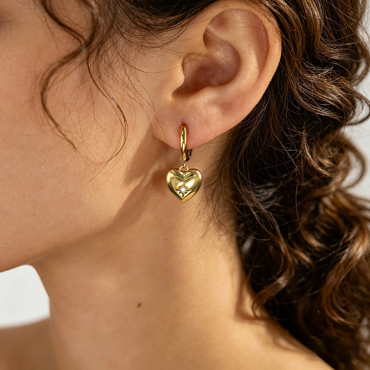 WILD & FREE 18K Gold Plated Stainless Steel Drop Hoop Earrings for Women Heart Star Zircon Charm Huggie Hoops Waterproof Jewelry