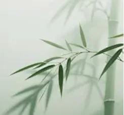 7 "شاشة أندرويد سيارة الوسائط المتعددة 2 الدين راديو لتويوتا أفينسيس فيرسو 2001-2005 اللاسلكية Carplay أندرويد السيارات ستيريو GPS BT WIFI #1