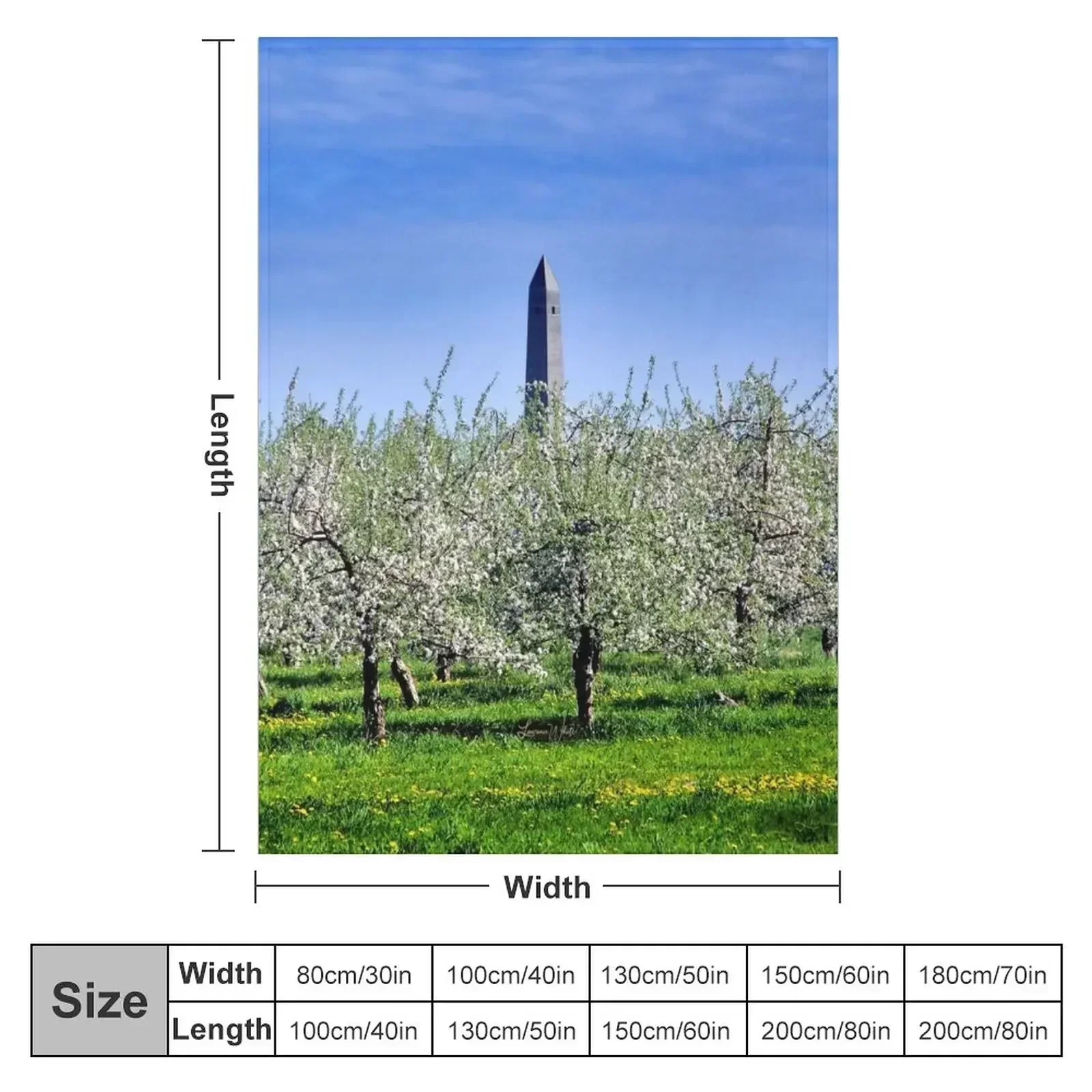 Saratoga Monument, Apple Blossoms Throw Blanket Designers Comforter Soft Beds Decorative Sofa Blankets