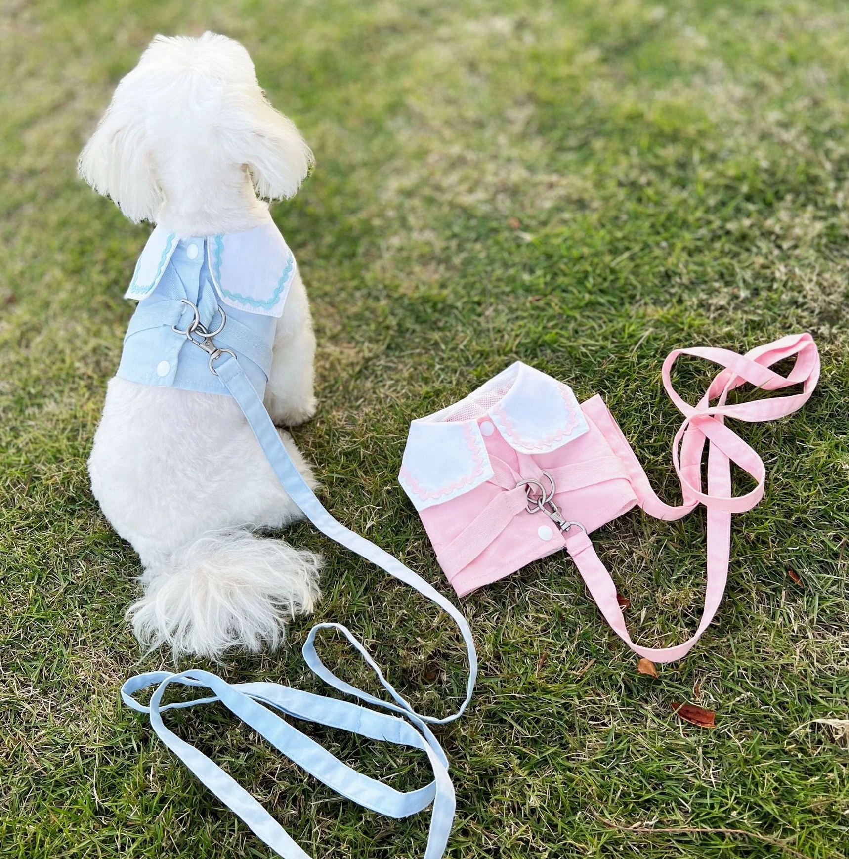 Spring and Summer Ins Short Chest Back College Shirt Cat Dog Ice Cream Color Breathable Leash Strap Cute Cat Leash Dog Leash