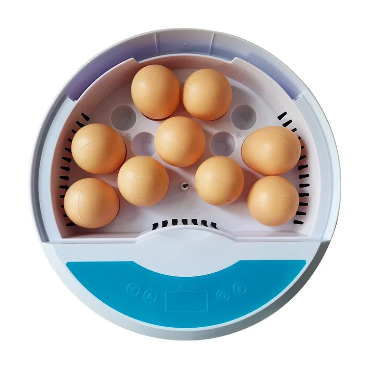 HHD Home Use Mini Poultry 9 Chicken Egg Incubator Fully Automatic for Hatching Eggs Machine Sale Price