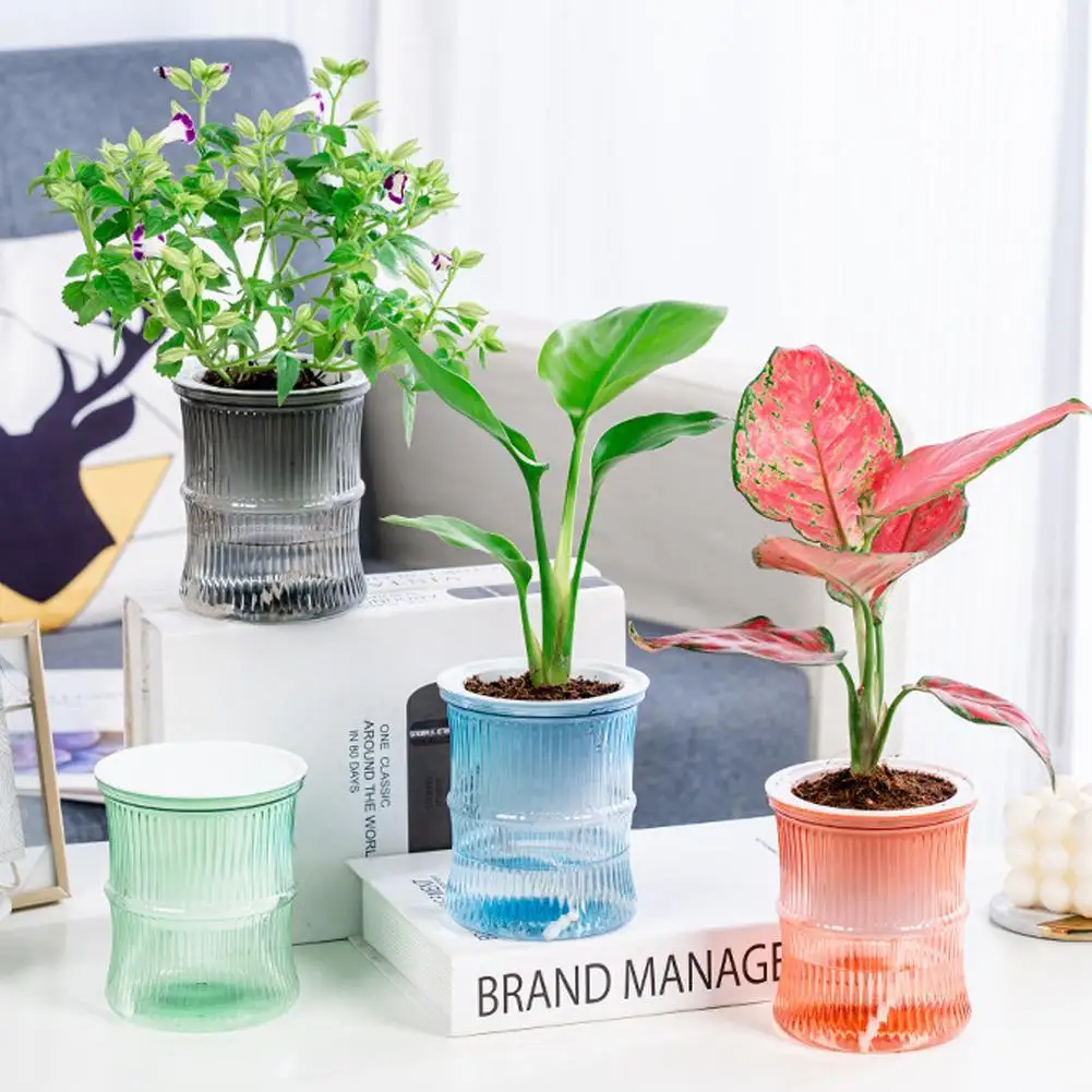 Creative Automatic Water-Absorbing Self-Watering Planter - Transparent Double Layer Hydroponic Flower Pot For Office