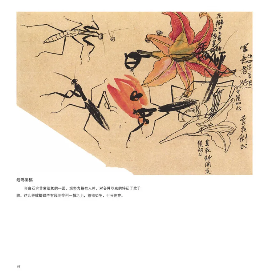 Qi Baishi Flower Bird Insect Fish Painting Drawing Art Supplies For Beginner