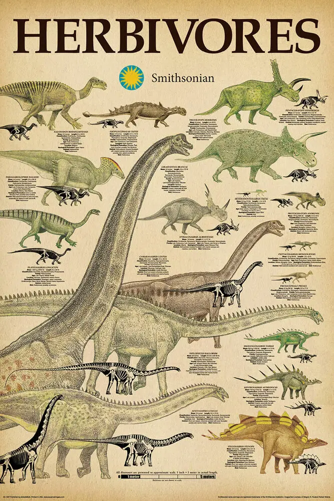 DINOSAURS SMITHSONIAN  CARNIVORES HERBIVORES POSTER  CHART SCHOOL  Silk Poster Home Decorative Wall Painting