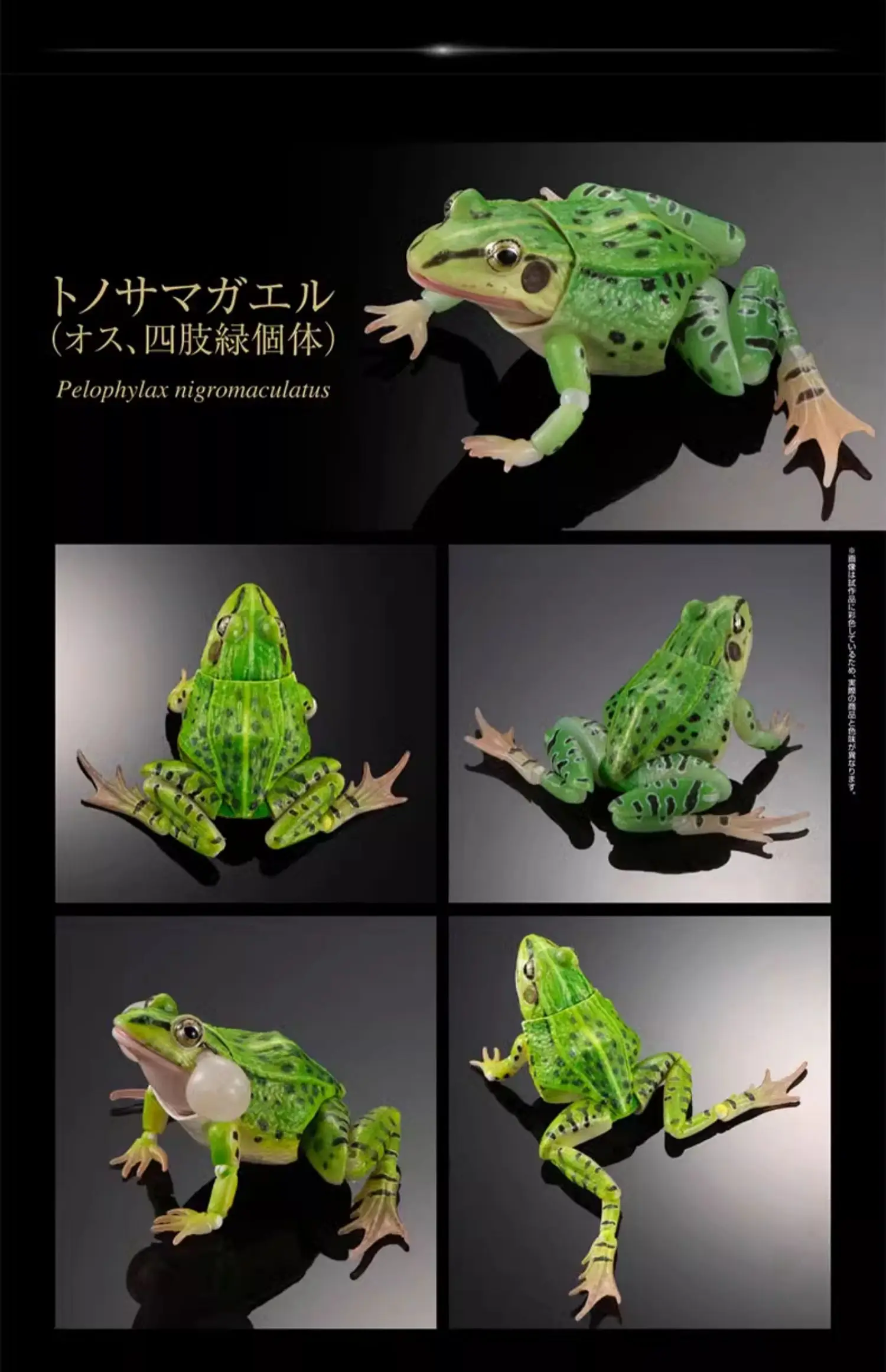 Bandai Gashapon Enciclopedia biografica Stagno maculato nero Rana Animali simulati Prop mobile Action Figures Modello Giocattolo per bambini