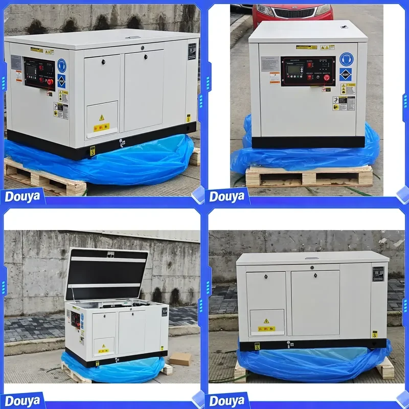 10KW 12KW 14KW 15KW 16KW 17KW 18KW Portable Dual Fuel Generator Set Natural oline Power Inverter Propane Generator